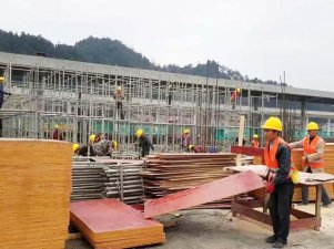广东珠海客户见证黑豹红面建筑模板品质